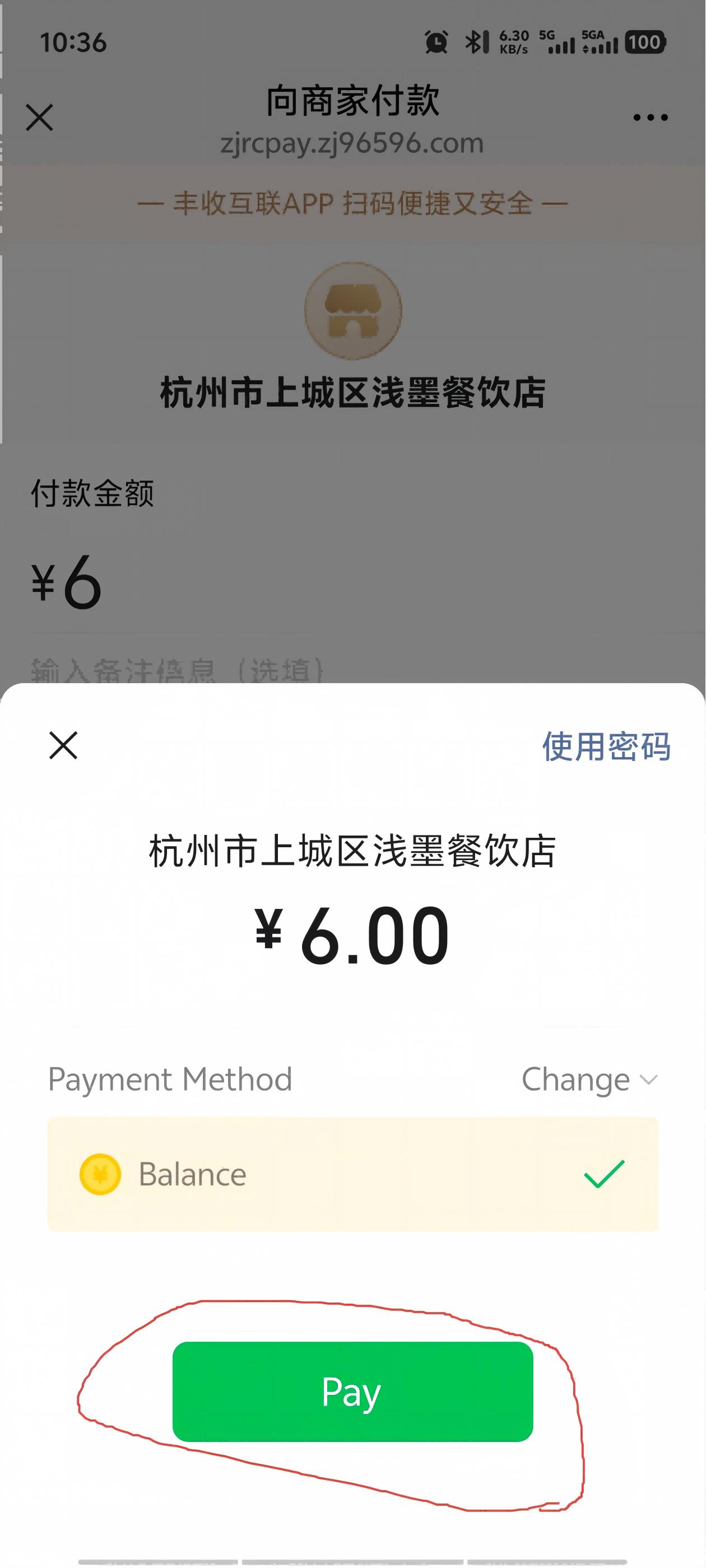 WeChat Pay �� after scanning, enter the amount the cashier tells you, then tap Pay